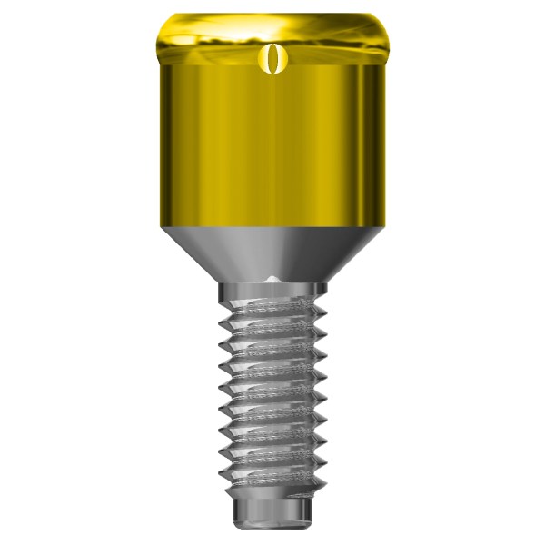 MONCONE CONNEKTOR h2  (2) copia6
